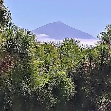 Zen Republic Vista Mar * Tenerife Island