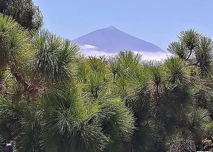 Zen Republic Vista Mar * Tenerife Island