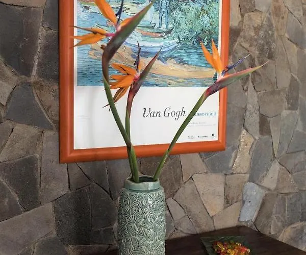 Zen Republic Vista Mar